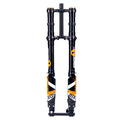 FastAce ALX13RC 2.0 Front Fork